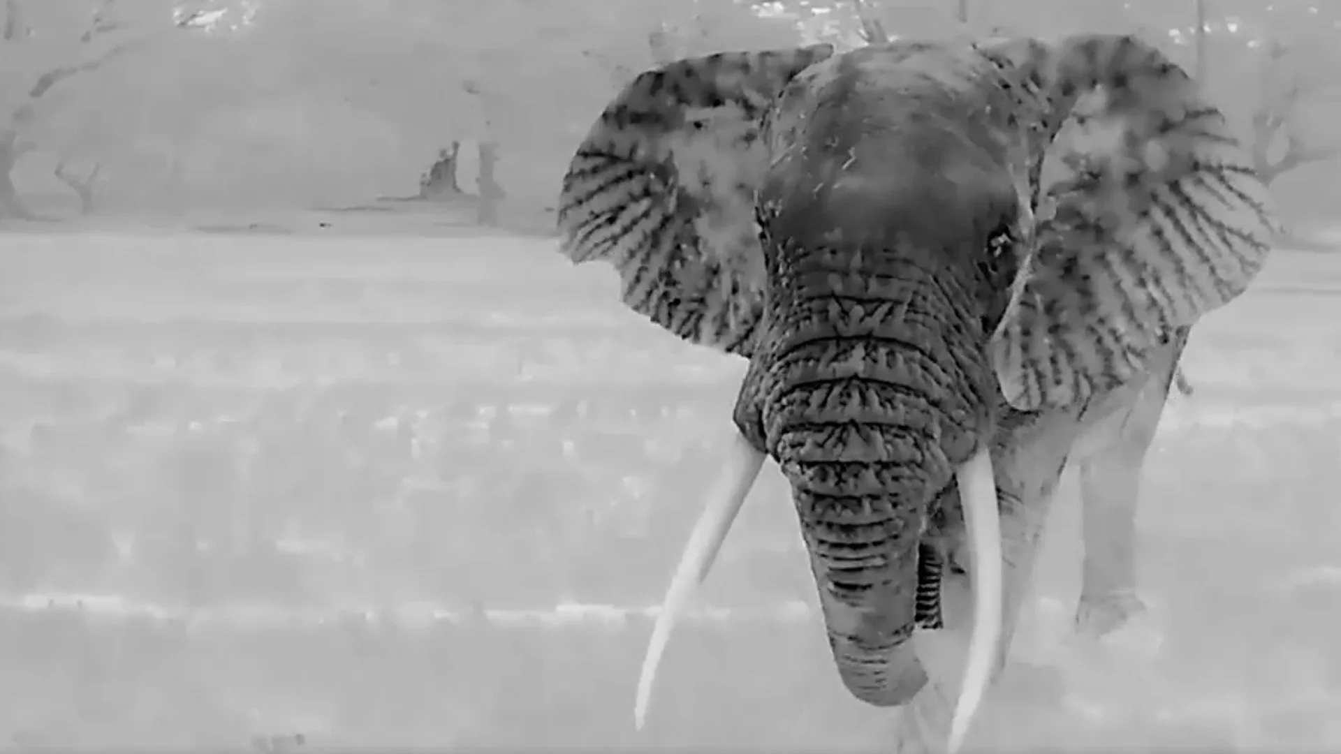 Chyulu Hills Eco-Tours