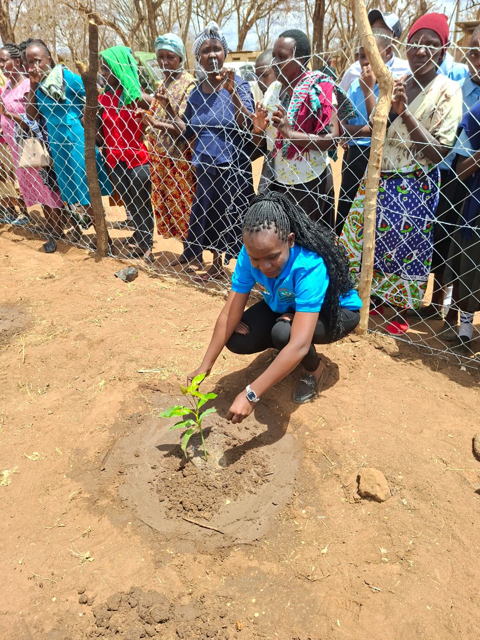 Dr Mary Ndolo planting trees at Nzambani primary school 